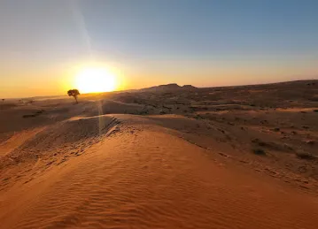 Al Ghubaiba Tourism LLC | Best VIP Desert Safari Dubai Tour Operator