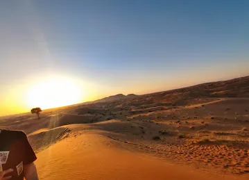 Al Ghubaiba Tourism LLC | Best VIP Desert Safari Dubai Tour Operator