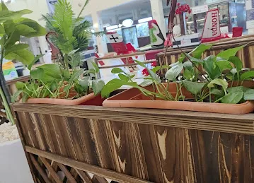 Al Hadheerh Coffee