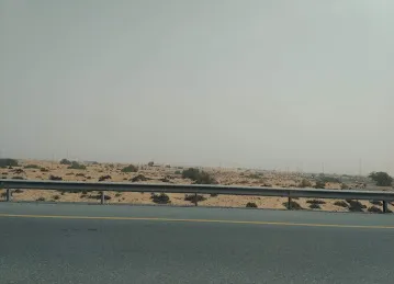 Al Hamriya Shipping