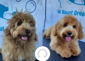 Al Hayat Mobile Grooming