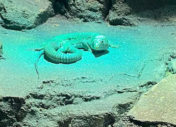 Al Hefaiyah Protected Area