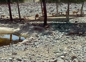 Al Hefaiyah Protected Area