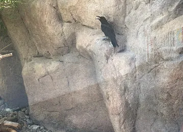Al Hefaiyah Protected Area