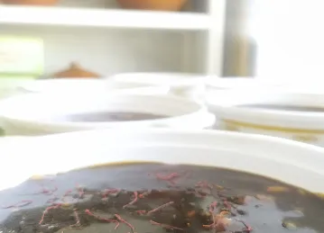 Al husn omani sweets