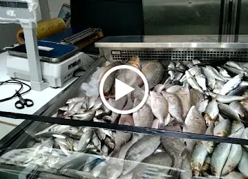 Al jwdha fresh fish