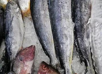 Al jwdha fresh fish