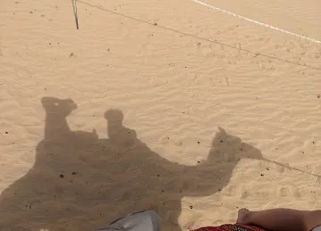 Al khatim safari
