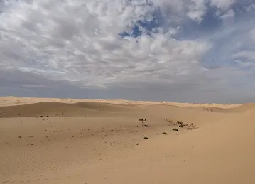 Al khatim safari