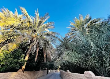 Al Khayal