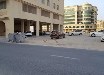 Al Maha Building