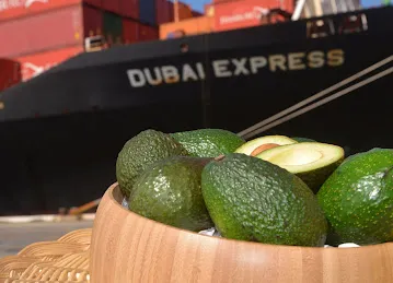Al Maksab Food and Beverage Trading LLC
