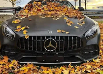 Al Malmas Garage