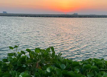 Al Mamzar Beach Library
