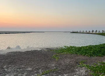 Al Mamzar Beach Library