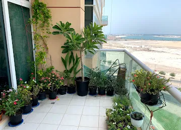 Al Mamzar Bldg 948