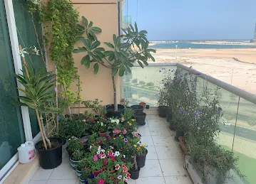 Al Mamzar Bldg 948