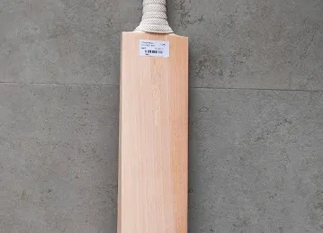 Al mamzar people cricket ground