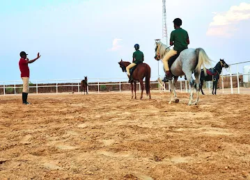 Al Manaf Arabian Desert Stable (CAR PARKING)