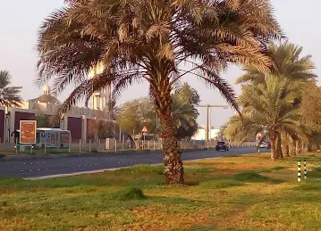 Al Manhal center