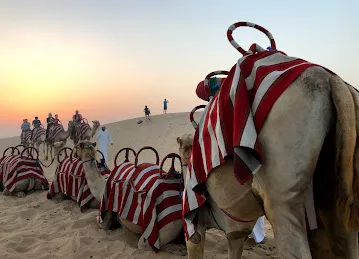 Al Marjan Desert Safari Camp