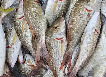 AL MARSA FISHMONGER ME12
