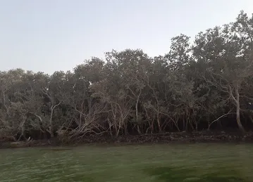 Al Mayas Kayak