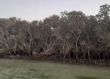Al Mayas Kayak