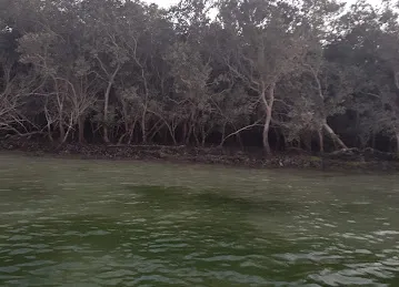 Al Mayas Kayak
