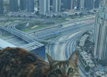 Al Murjan Tower