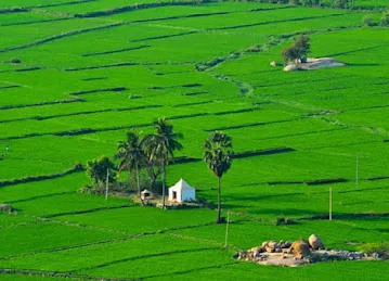 Al Naboodah Jabal Ali Labour Accommodation Site