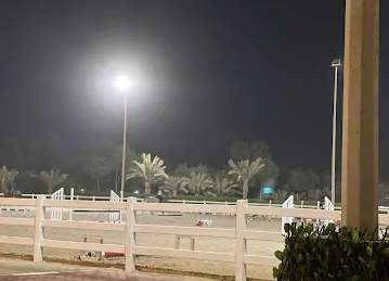 Al Nakaha al altheetha