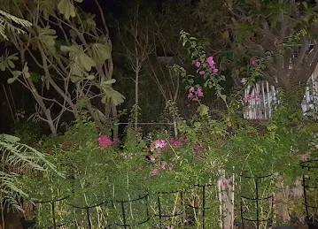 AL OSHB Nursery