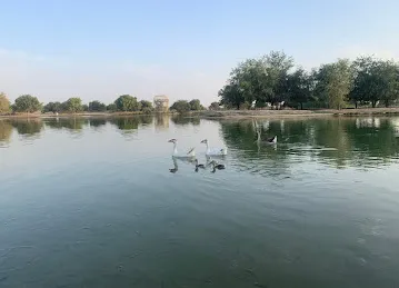 Al Qudra Camping Area