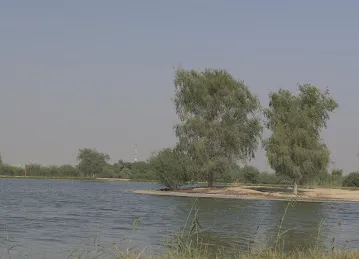 Al Qudra Lakes