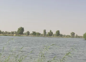 Al Qudra Lakes