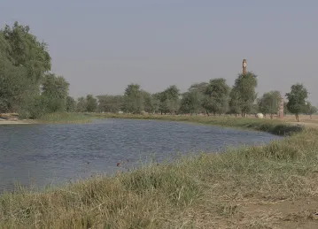 Al Qudra Lakes