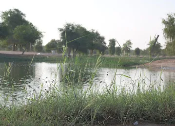 Al Qudra Lakes
