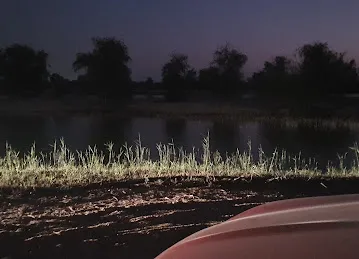 Al Qudra Lakes