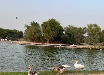 Al Qudra Tours | Dune Buggy Rental & ATV Quad Bike Desert Safari Dubai
