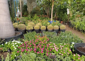 al rawda al khadra nursery