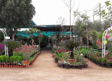 AL RIFAA NURSERY LLC