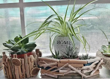 AL RIFAA NURSERY LLC
