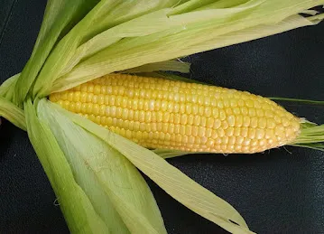 Al Roshid Agriculture