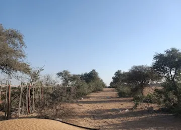 Al Saa Poultry Farm مزرعة الساعة للدواجن