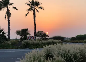 Al Saadiyat Island