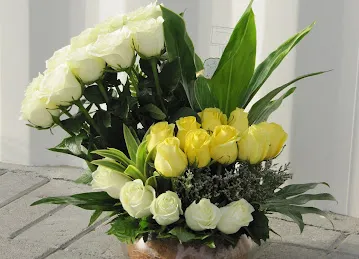 Al Safa Flowers