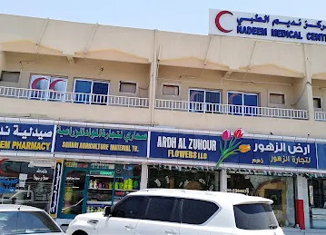 AL SAFEER TOURISM