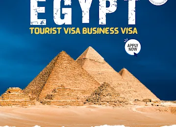Al Saif Documents Clearing Services