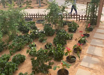 Al Samhah Greenhouse